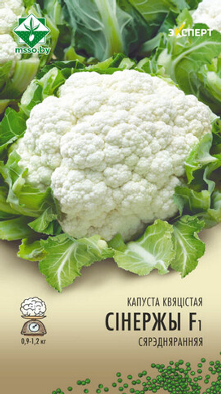 Капуста цветная "Синержи F1" 12шт, Нидерланды.