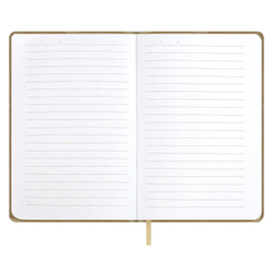 2c00cd51_b7b9_11ef_ba9b_d05099d5d12d_531cd035_7f6a_11f0_bab6_d05099d5d12d (1)