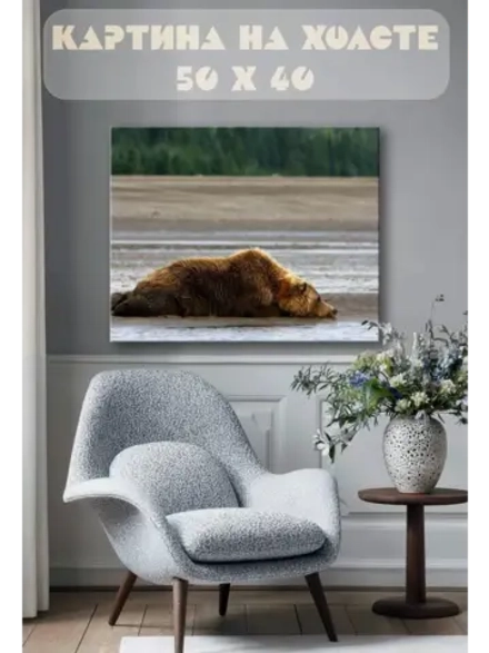 Картина на стену 40 X 50 Бурый медведь