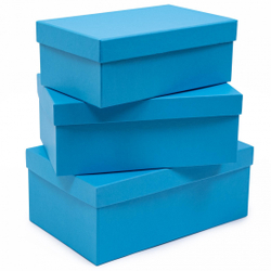 Коробка ПРЯМОУГОЛЬНАЯ 21,5*12,5*8,5