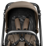 Коляска Peg Perego Veloce TC New Belvedere 2 в 1 Pine Bark