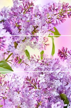 Плитка облиц Настроение  лиловый