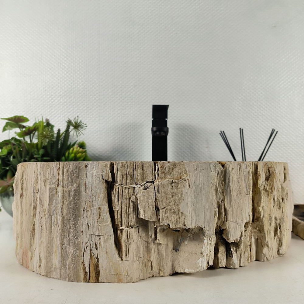 Раковина из окаменелого дерева OD-64674 48*42*15 0175
