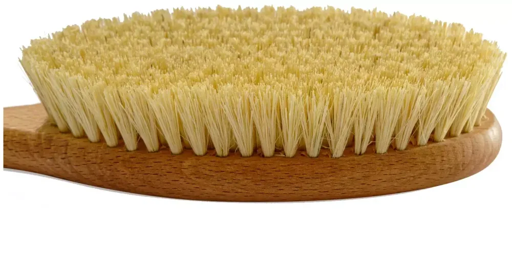 Gloys Cactus Plus щетка для сухого массажа Cactus 14x9  см