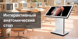 Интерактивный анатомический стол. Современное решение для медицинского образования.