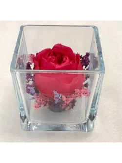 натуральный пион в стекле, вакуум*