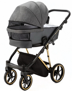 Детская коляска Adamex Belissa Special Edition 2 в 1 B-PS562 (Т.СЕР ЗОЛОТ.РАМ)