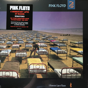 Pink Floyd / A Momentary Lapse Of Reason (LP)