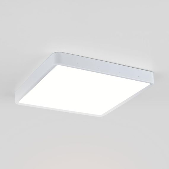 Потолочный светодиодный светильник Elektrostandard DLS034 24W 4200K a043018