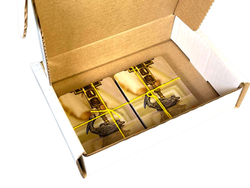 photo1691854428-PhotoRoom.png-PhotoRoom