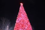 Уличная елка каркасная "Уральская изумрудная" (пвх бело-зелёная) 14 м