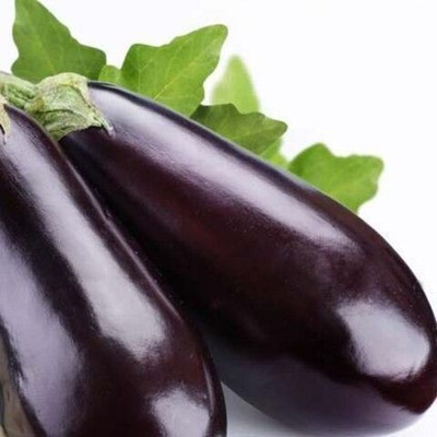 Фабина F1 семена баклажана (Clause / Клос)