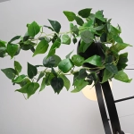 Подвесная люстра Imperiumloft PALMA 248665-01