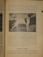 "Выбор, приобретение, содержание, дрессировка и натаска легавой". 1911г.