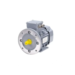 Электродвигатель ESQ PR 355 MA6-SDN-Б1-S12-IE3 160/1000 IMB35