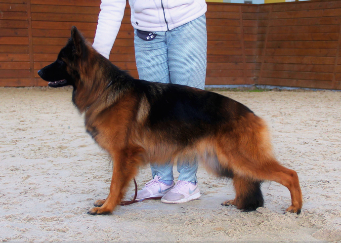 Мать: Туадаш ОЛИВИЯ