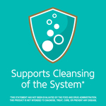 21st Century, Травяной чай для похудения, полностью натуральный, без кофеина, 24 чайных пакетика, 48 г (1,7 унции)