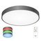 Потолочный светодиодный светильник с пультом ДУ Citilux Купер RGB Черный CL724105G1