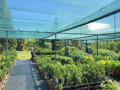 Поездка в питомник «Кутепово»