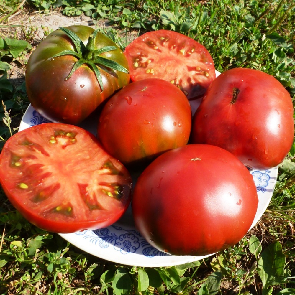 Помидоры Black Sea Man