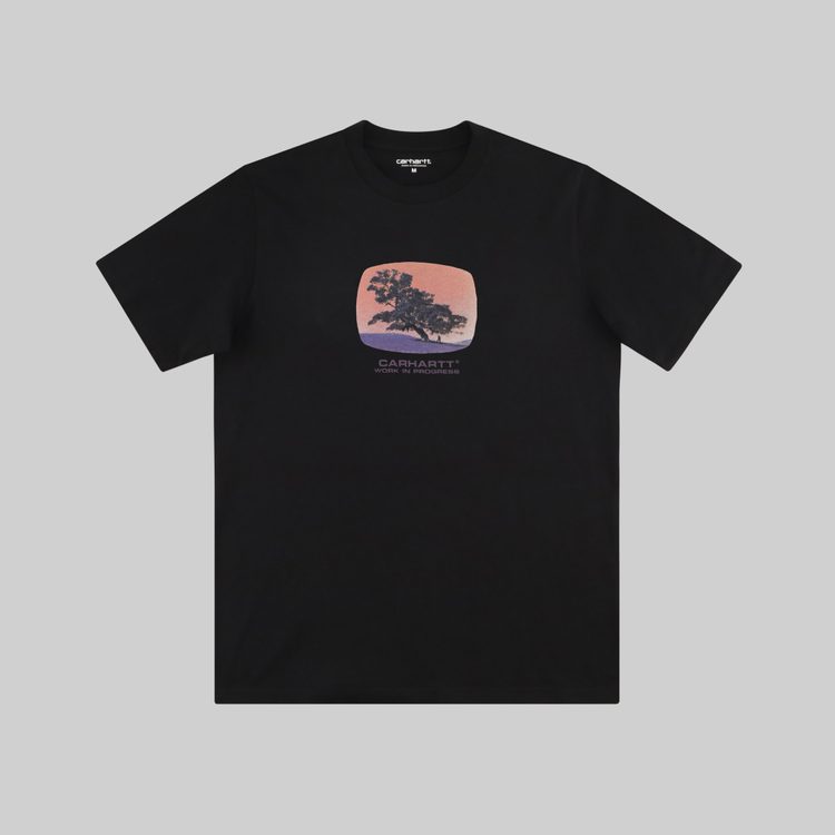 Футболка мужская Carhartt WIP Seeds артикул:I031028 - купить в магазине Дайс