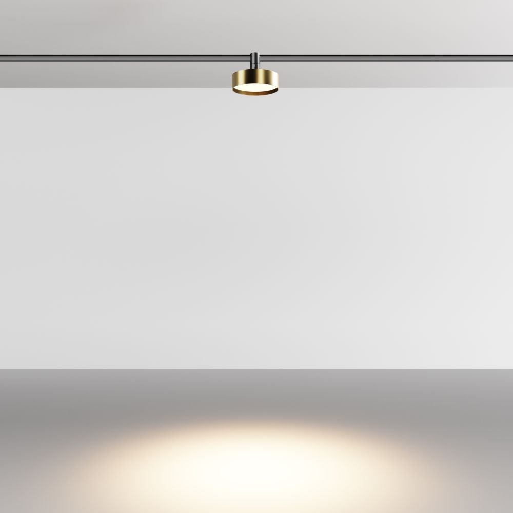 Трековый магнитный светодиодный светильник Maytoni Flexity Zon TR204-1-12W3K-BBS