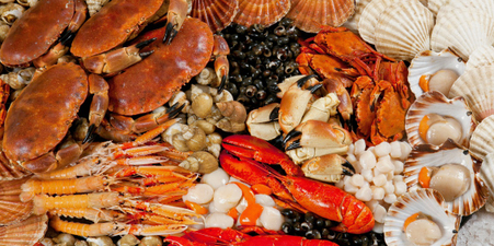 Морепродукты