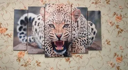 Алексей Майер