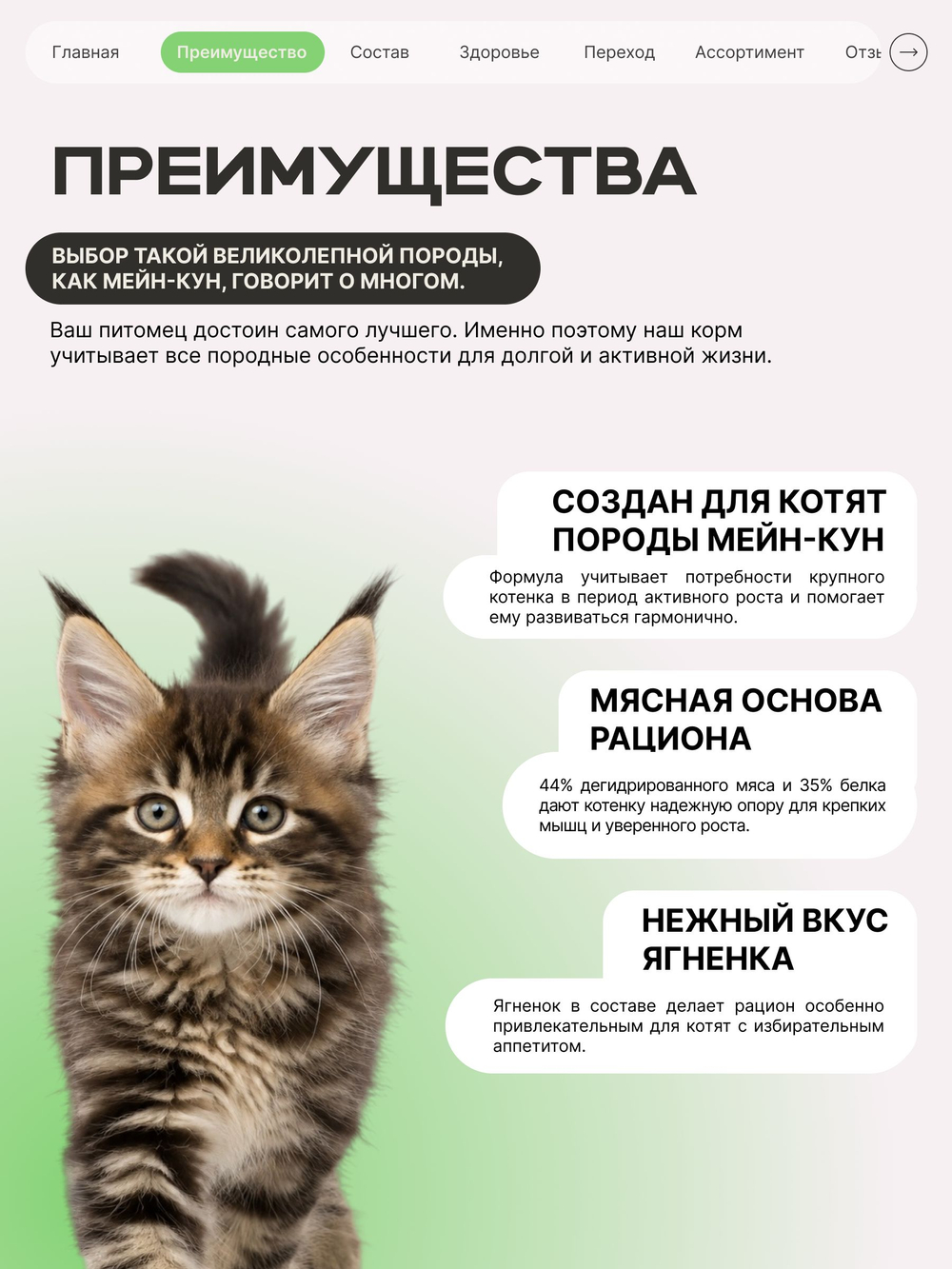 Корм сухой для котят породы Мейн-кун, с ягненком, 2 кг, QUATTRO
