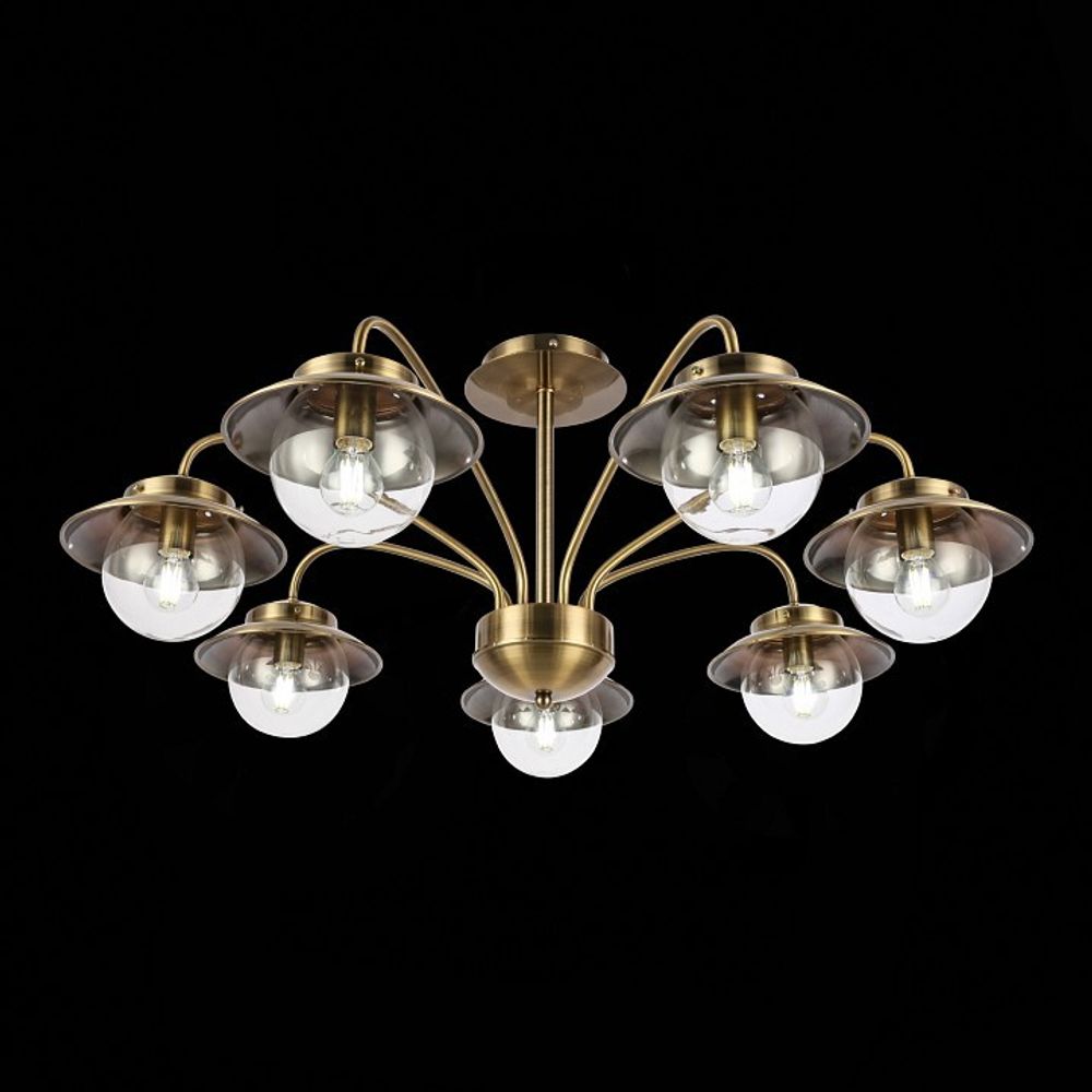 Потолочная люстра EVOLUCE Garonni SLE110102-07