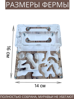 Муравьиная ферма Mini "Дуб S" с муравьями