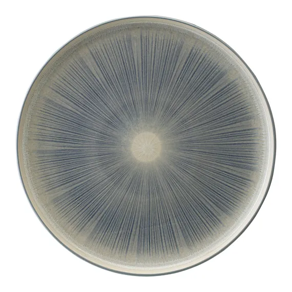 Набор из двух тарелок eclipse из коллекции essential, D27 см