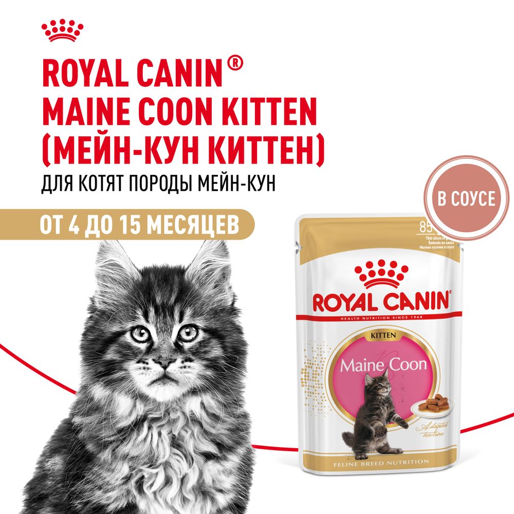 Пауч Royal Canin Maine Coon Kitten для котят породы Мэйн Кун в возрасте до 15 месяцев, мелкие кусочки в соусе Пауч Royal Canin Maine Coon Kitten для котят породы Мэйн Кун в возрасте до 15 месяцев, мелкие кусочки в соусе
