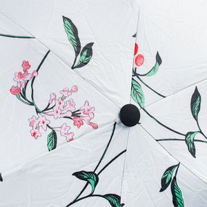 Зонт Sakura