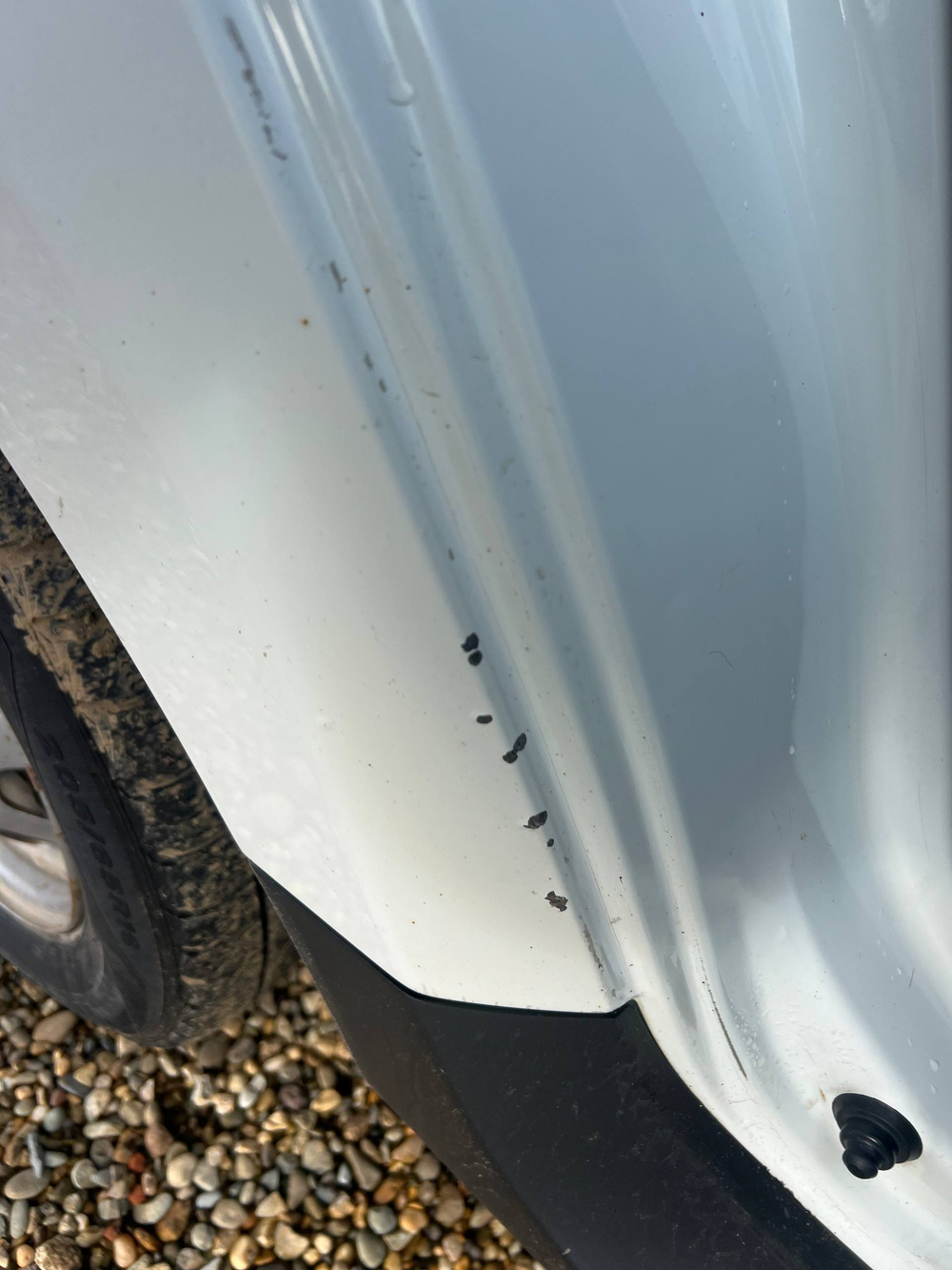 Renault DUSTER Drive 2.0 AT4 4x4