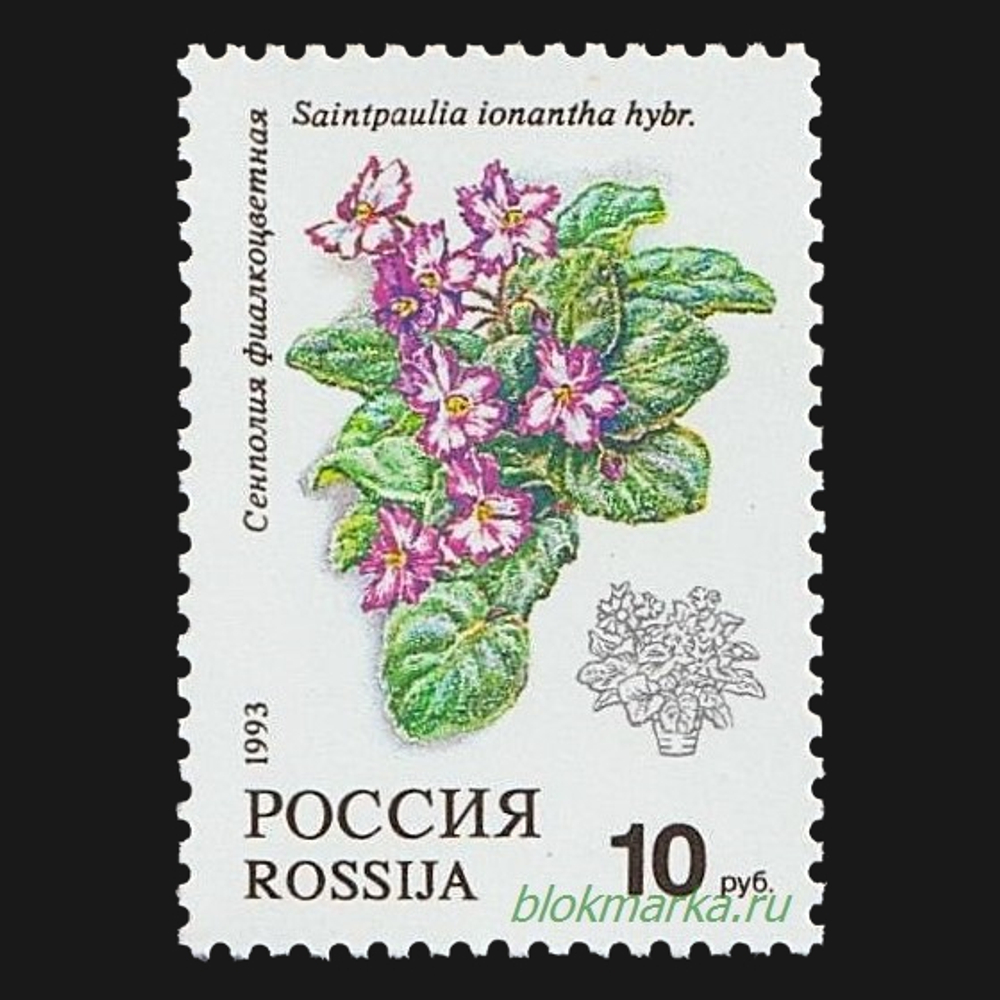 Россия 1993 г № 77-81 Серия Флора Комнатные растения Чистая MNH **