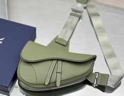Christian Dior Saddle 26 cm