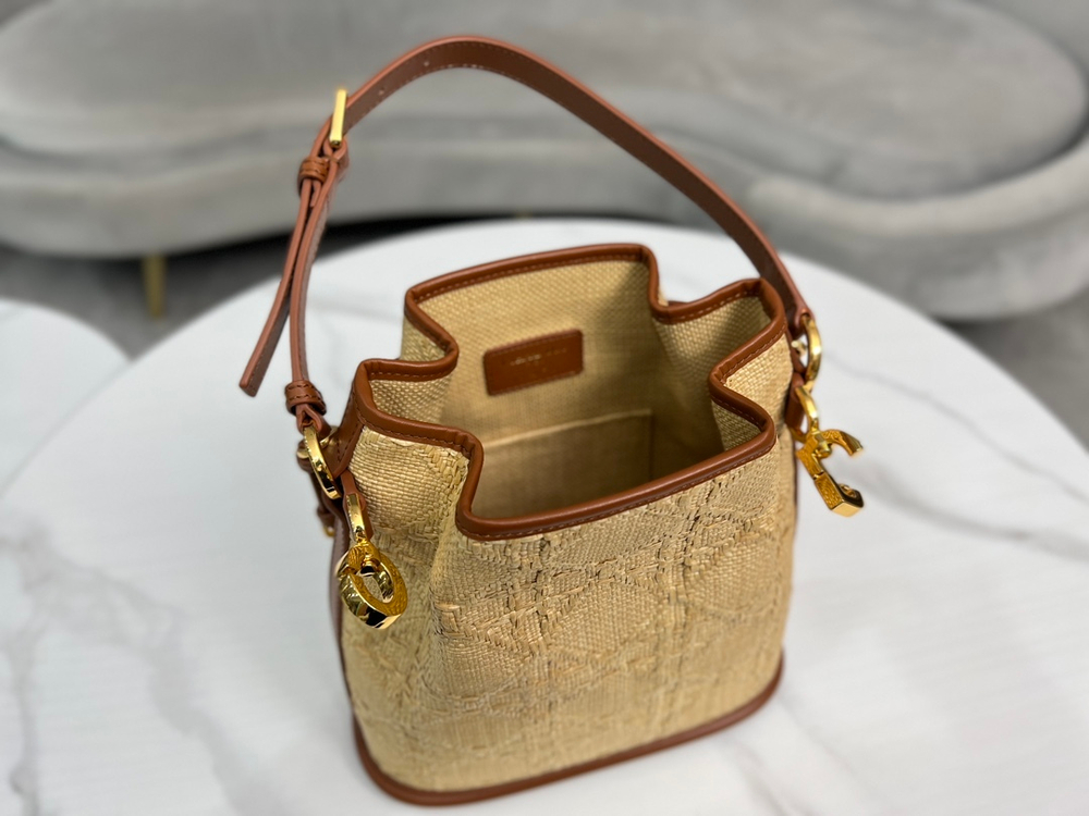 Christian Dior Medium C'est Dior Bag