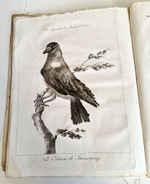 "Memoires de la societe imperiale des naturalistes de Moscou T. 1, 3, 5 (Воспоминания Московского Императорского Общества естествоиспытателей)". 1817 г.