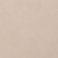 Набор из 4-х двухсторонних сервировочных салфеток Pool, 30х45 см, зеленый/бежевый