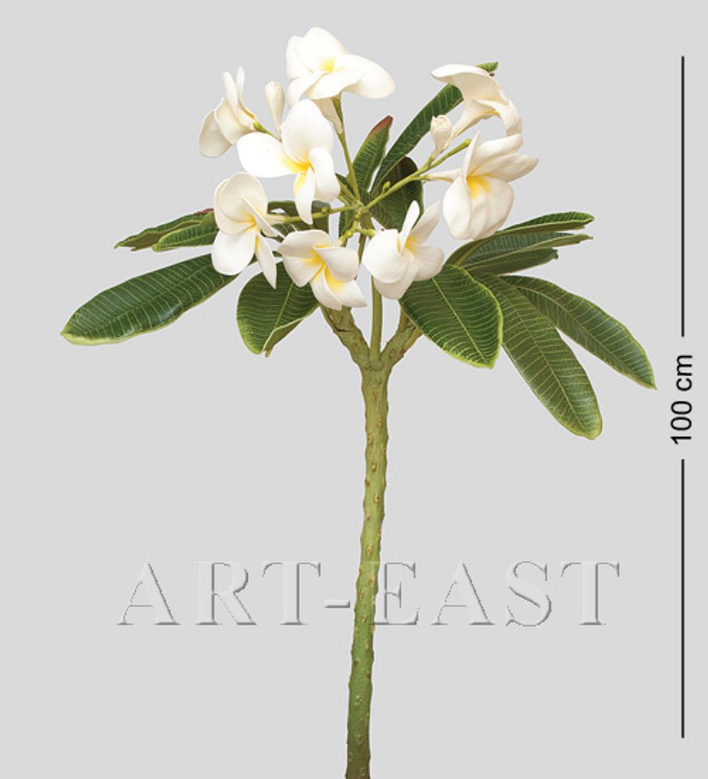 TR 614L Плумерия 8 бутонов