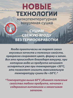 Клубника полевая ТАЁЖНЫЙ ЦЕХ сушёная ягода, 70 г