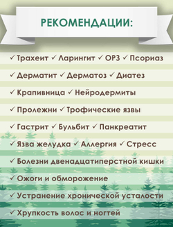 Кедрик с кедровыми орешками, 250 мл