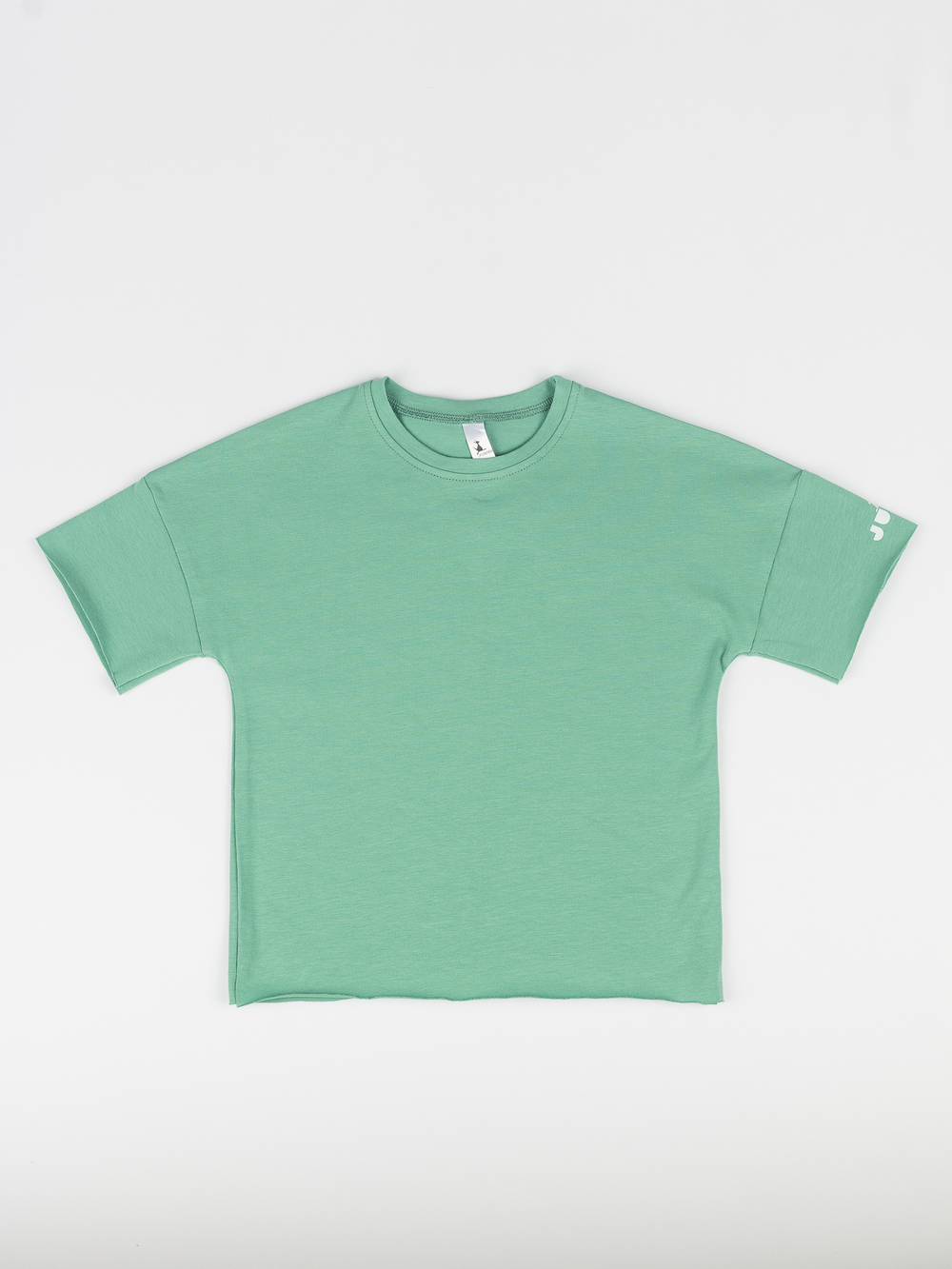 Футболка (Полынь) Basics