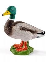 Фигурка Селезнь Schleich 13824