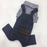 227 Комбинезон "ZZON"