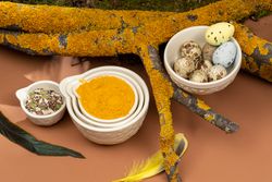 Набор мерных чаш Birds of Paradise, кремовые, 4 шт.