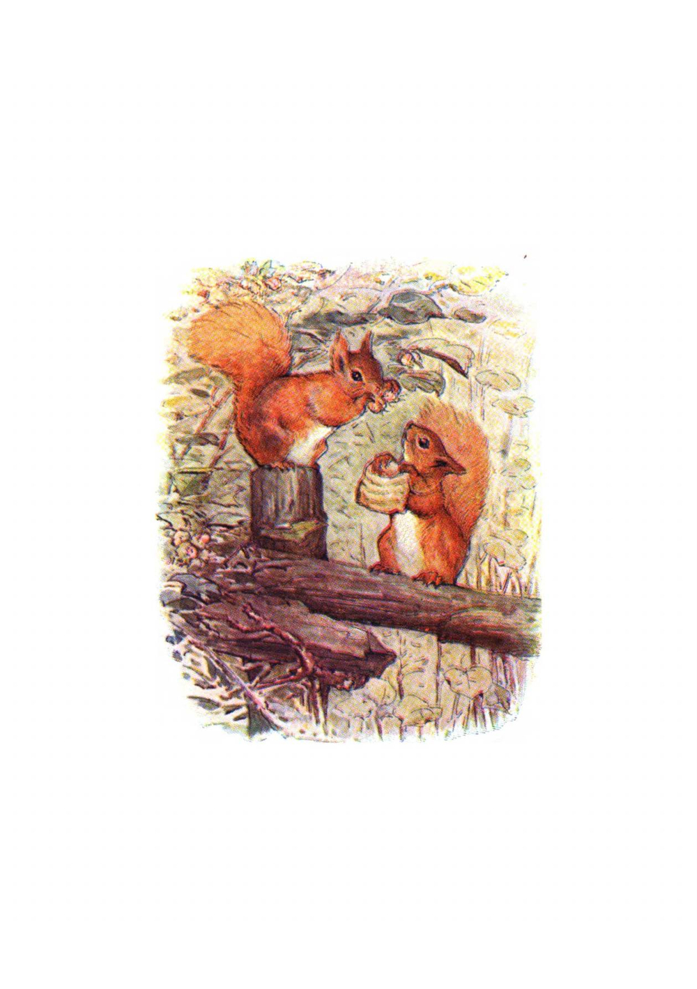 The tale of Squirrel Nutkin | Beatrix Potter