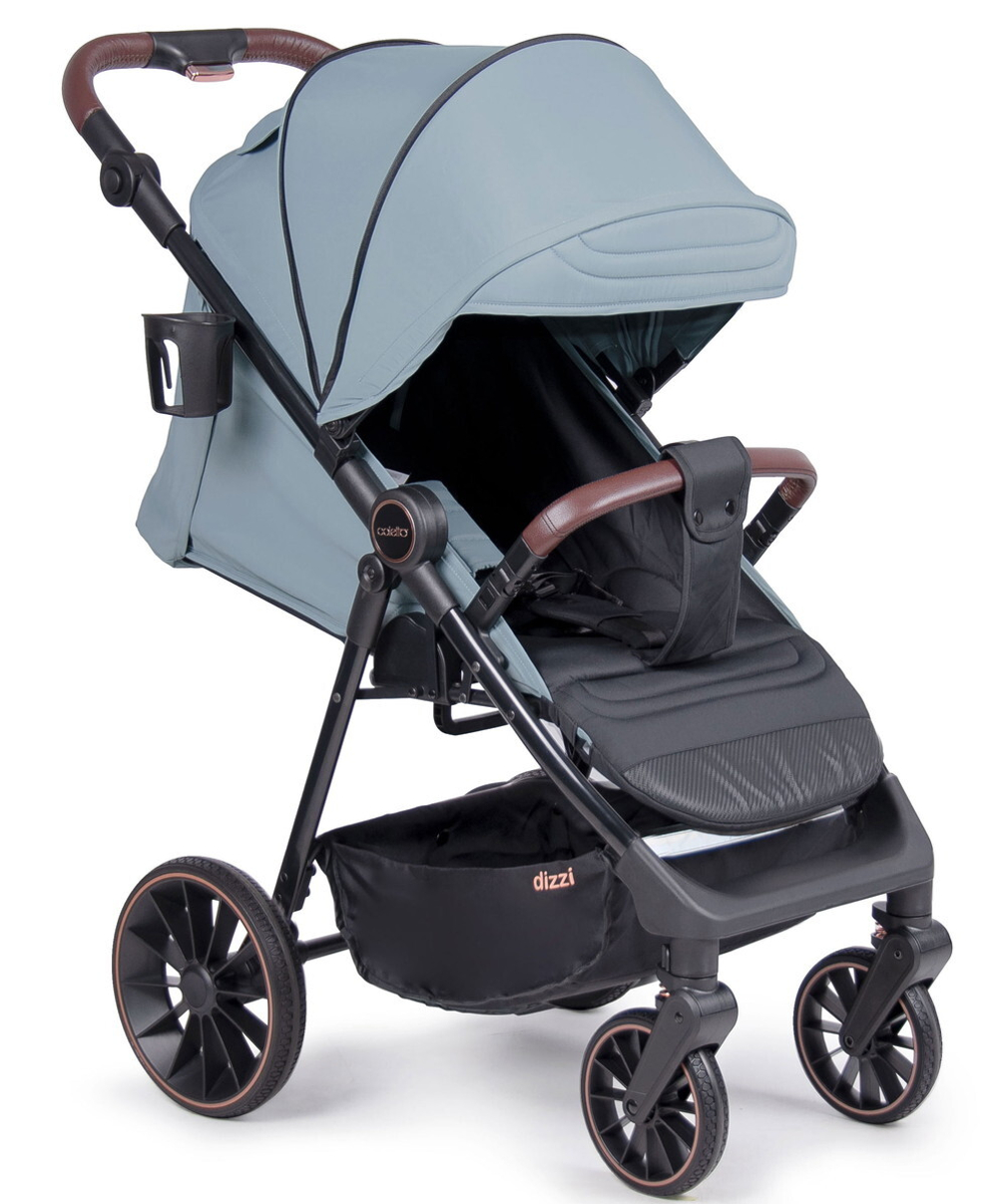 Детская прогулочная коляска Coletto Dizzi Mint