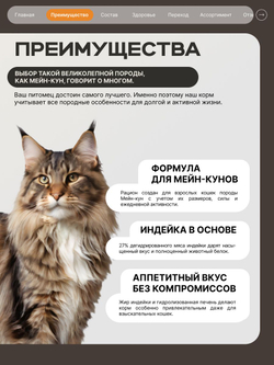 Корм сухой для кошек породы Мейн-кун, с индейкой, 5 кг, QUATTRO
